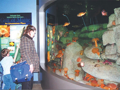 photo of people looking down into an aquarium with reef life
