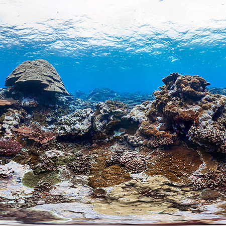 coral reef at fagatele bay, american samoa