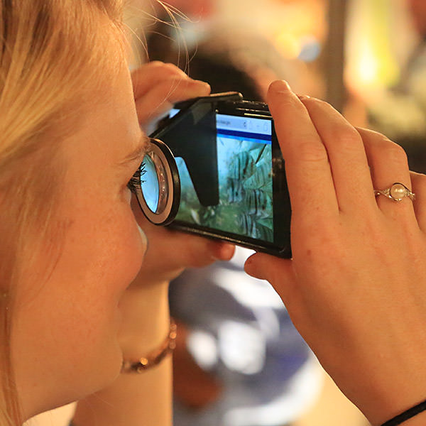 woman looking through vr glass on her smartphone
